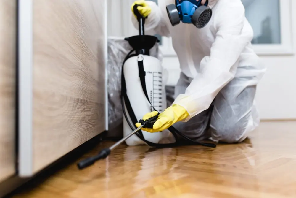 Profissional aplicando produto para controle de pragas